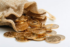 Gold Coins in a Bag